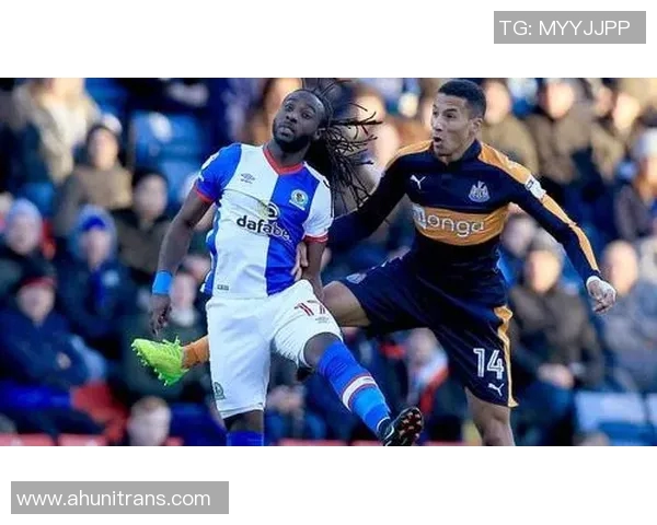 诺维奇主场迎战史蒂文全力争胜双方实力对比引人关注