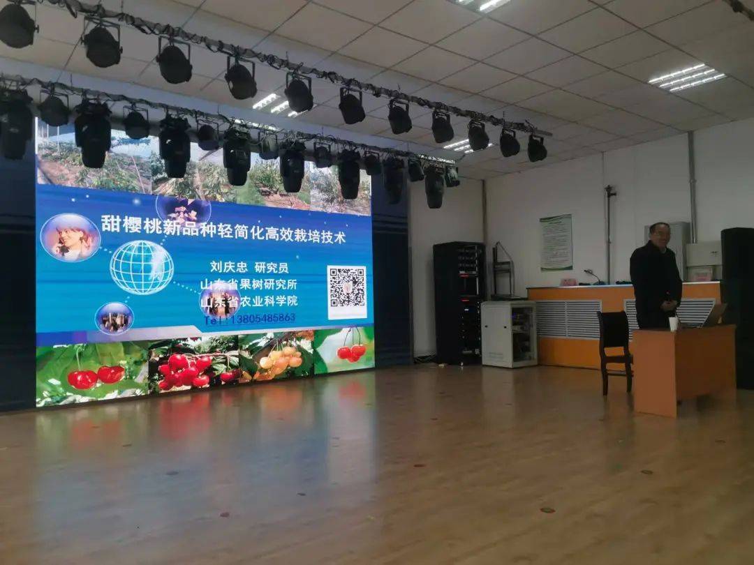 区园林绿化局开展樱桃栽培管理培训(图1)