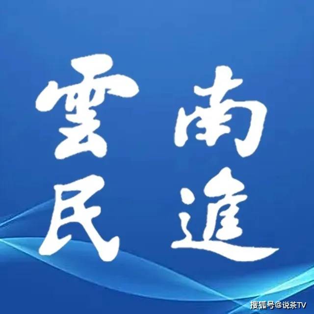 “两会”精彩回顾这些提议带来茶业发展利好Bwin必赢平台(图21)