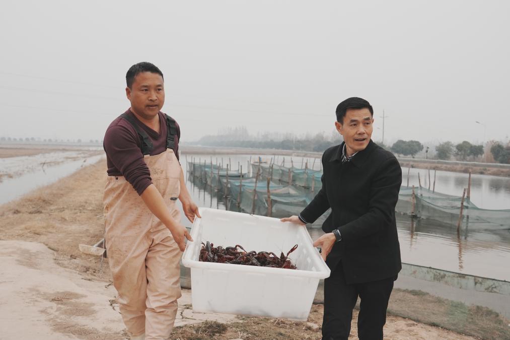新春走基层丨小龙虾错峰上市 为春节餐桌增添红火风味(图3)