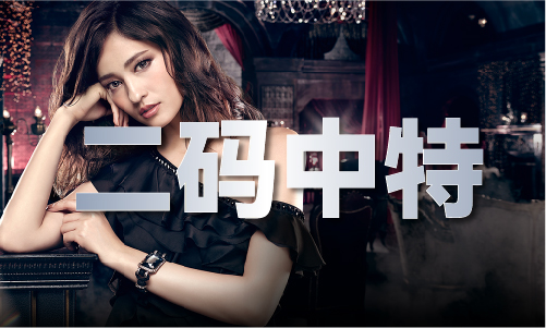 正版精华布衣图谜正版精华布衣图谜下载(图1)