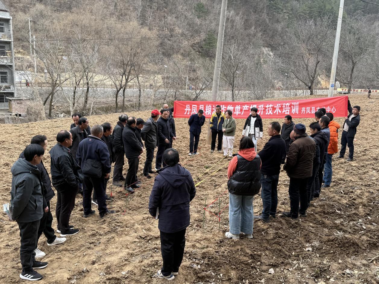 精准培训强技能农业发展添活力(图2)