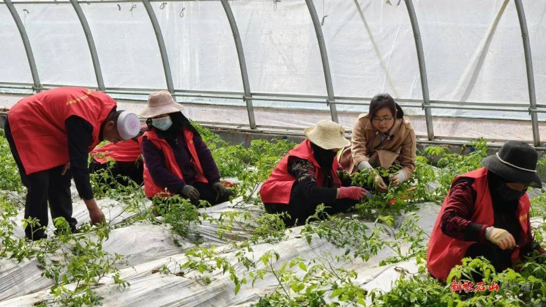 田间课堂传技能 技术饭碗端得稳——积石山县扎实开展职业技能培训 助力群众增收致富(图4)