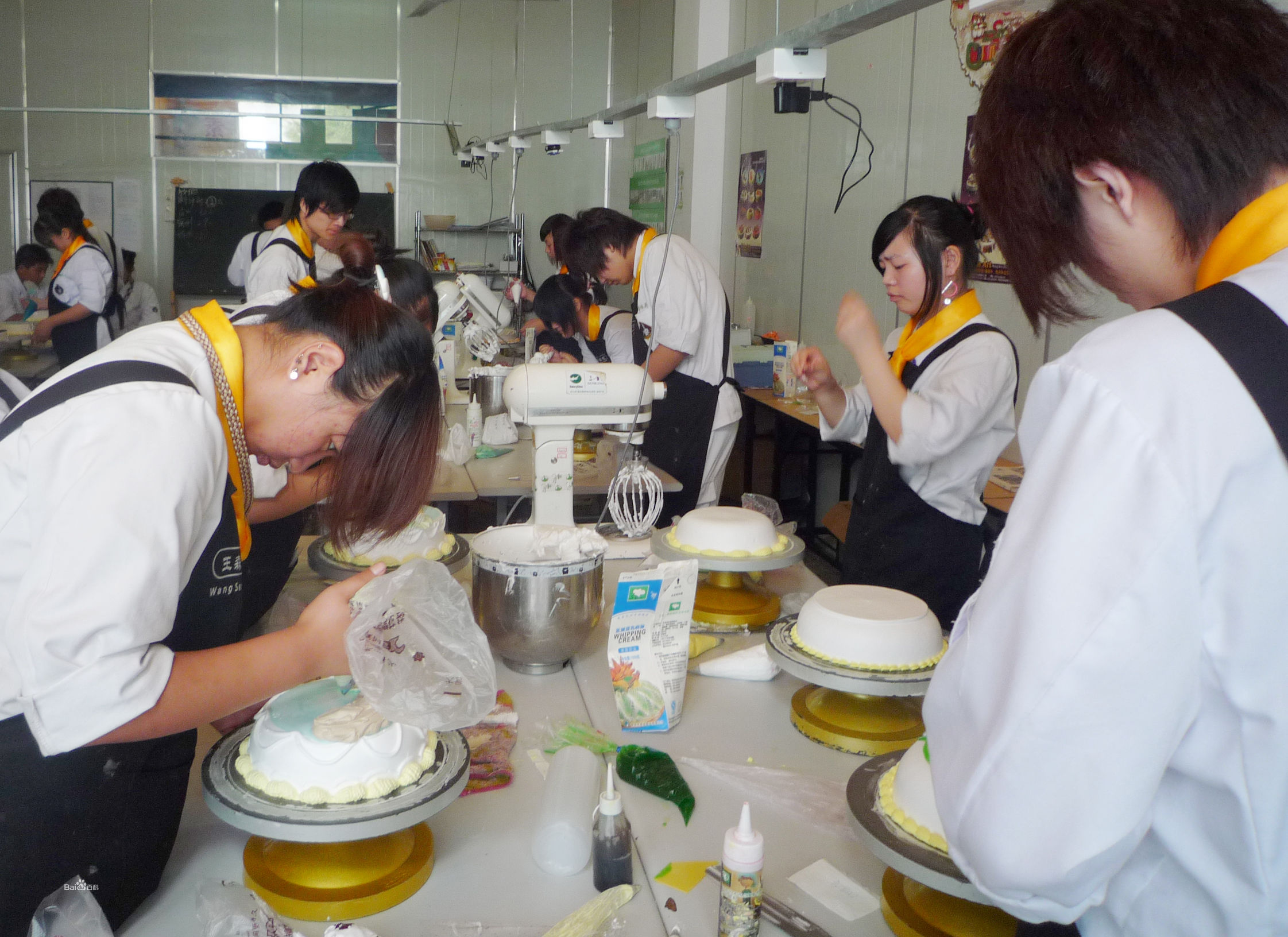 莫永芸：青春挥汗水服务显真情