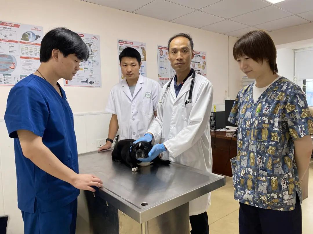 做未来工匠领路人争当职教先锋用心用情育英才……走近这些教师人才(图2)